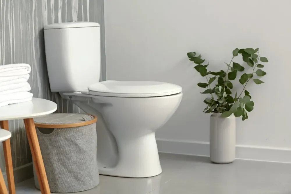 sanitaires